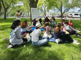 picnic-1